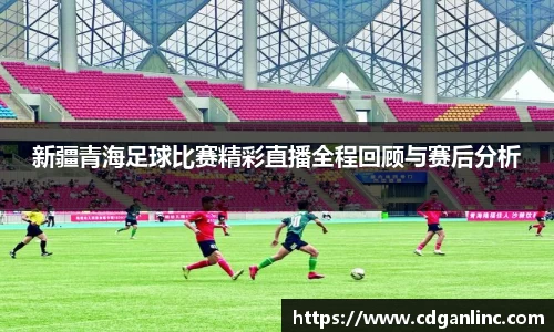 新疆青海足球比赛精彩直播全程回顾与赛后分析