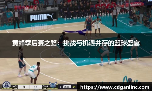 黄蜂季后赛之路：挑战与机遇并存的篮球盛宴