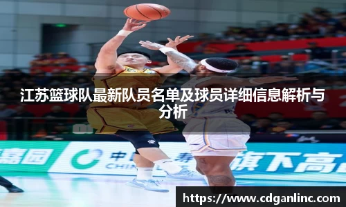 江苏篮球队最新队员名单及球员详细信息解析与分析